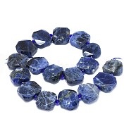 Natural Sodalite Beads Strands, Faceted, Rectangle, 21~25x19.5~21x8.5~9mm, Hole: 1.8mm, about 17pcs/strand, 15.5 inch(39.4cm)(G-F632-31)