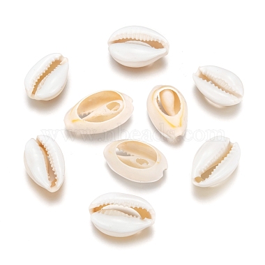 Perles de coquillage cauri naturelles(X-SHEL-S274-54)-2