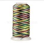 Segment Dyed Round Polyester Sewing Thread, for Hand & Machine Sewing, Tassel Embroidery, Colorful, 3-Ply 0.2mm, about 1000m/roll(OCOR-Z001-A-27)