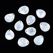 Natural Freshwater Shell Pendants, Petaline, White, 12x10x2mm, Hole: 1mm(SHEL-S278-044)
