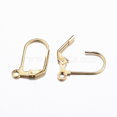 304 Stainless Steel Earrings(X-STAS-P166-11G)-2