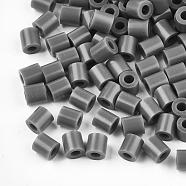 PE DIY Fuse Beads Refills, Tube, Gray, 5x5mm, Hole: 3mm, about 8000pcs/500g(DIY-R013-432C)