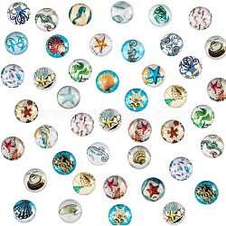 Flatback Glass Cabochons for DIY Projects, Dome/Half Round, Ocean Theme, Mixed Pattern, Mixed Color, 12x4mm, 140pc/box(GGLA-PH0005-12mm-06D)