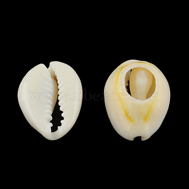 perles coquillage cauri mélangées naturelles(BSHE-S053-01)-2