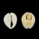 perles coquillage cauri mélangées naturelles(BSHE-S053-01)-2