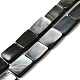 Natural Black Lip Shell Beads Strands(BSHE-D300-03-10x14mm)-1