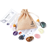 Twelve Constellations Birthday Gife Cloth Bag Set, with Natural Mixed Gemstone, Capricorn, 20mm(PW-WG9E386-05)