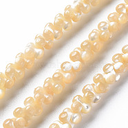Natural Trochid Shell/Trochus Shell Bead Strands, Oval, 6x3mm, Hole: 0.8mm, about 173~174pcs/strand, 15.75 inch~16.34 inch(40~41.5cm)(SSHEL-N034-104-A01)