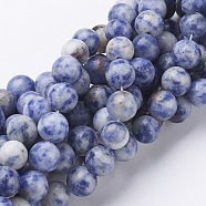 Gemstone Beads, Natural Blue Spot Jasper, Round, Cornflower Blue, 8mm, Hole: 1mm, about 46~48pcs/strand, 16 inch(X-GSR036)