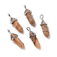 Natural Picture Jasper Pendants, Faceted, with Platinum Tone Brass Findings, Lead free & Cadmium Free, Bullet, 27~30x9~10x7~8mm, Hole: 4x3mm(G-K329-45P)
