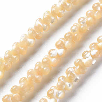 Natural Trochid Shell/Trochus Shell Bead Strands, Oval, 6x3mm, Hole: 0.8mm, about 173~174pcs/strand, 15.75 inch~16.34 inch(40~41.5cm)