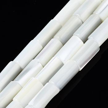 Natural Trochid Shell/Trochus Shell Beads Strands, Column, Bleach, Seashell Color, 8x4mm, Hole: 0.7mm, about 51pcs/strand, 15.94 inch(40.5cm)