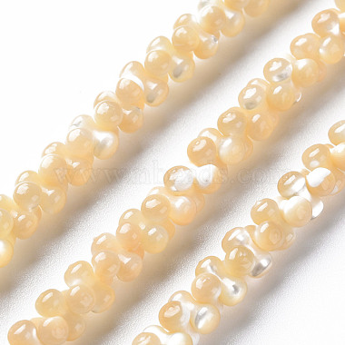 Natural Trochid Shell/Trochus Shell Bead Strands(SSHEL-N034-104-A01)-1