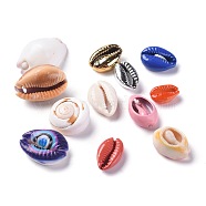 Natural Cowrie Shell Beads, No Hole/Undrilled, Mixed Style, Mixed Color, 13.5~28.5x8~18x5~13.5mm(BSHE-XCP0001-04)