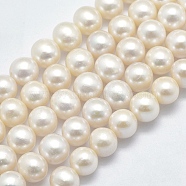 Natural Cultured Freshwater Pearl Beads Strands, Round, Beige, 7~8mm, Hole: 0.8mm, about 57~58pcs/strand, 15.3 inch(39cm)(PEAR-F007-28-01)
