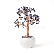 Natural Lapis Lazuli Chips with Brass Wrapped Wire Money Tree on Ceramic Vase Display Decorations, for Home Office Decor Good Luck, 120x50.5x190mm(DJEW-B007-02C)