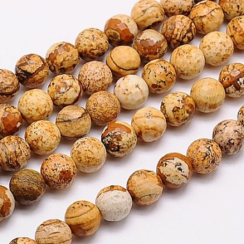 Natural Picture Jasper Beads Strands, Faceted, Round, 6mm, Hole: 1mm, about 60pcs/strand, 15.55 inch