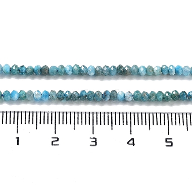 Natural Apatite Beads Strands(G-J400-C01-01)-5
