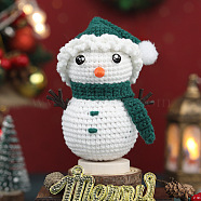 Christmas DIY Knitting Kits for Beginners, including Stuffing Cotton, Crochet Hook, Stitch Marker, Craft Eye & Nose, Cored Cotton Thread, Snowman, 150x110x80mm(PW-WG298D0-09)