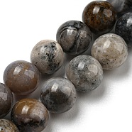Natural Dendritic Jasper Beads Strands, Chohua Jasper, Round, 8mm, Hole: 1mm, about 46pcs/strand, 15.20''(38.6cm)(G-R494-A23-03)