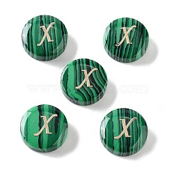 Synthetic Malachite Beads, with Golden Tone Brass Slices, Flat Round with Letter, Letter X, 15x5mm, Hole: 1.4mm(G-A238-01X)