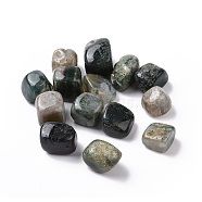 Natural Moss Agate Beads, Tumbled Stone, Healing Stones for 7 Chakras Balancing, Crystal Therapy, Vase Filler Gems, No Hole/Undrilled, Nuggets, 17~30x17~24x11~20mm, about 37pcs/500g(G-G979-A24)