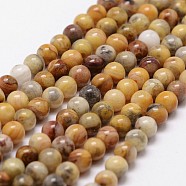 Natural Crazy Lace Agate Beads Strands, Round, 4mm, Hole: 1mm, about 89~98pcs/strand, 15 inch(G-D840-70-4mm)