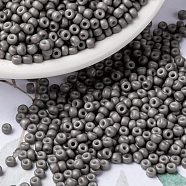 MIYUKI Round Rocailles Beads, Japanese Seed Beads, 8/0, (RR2317) Matte Opaque Gray, 3mm, Hole: 1mm, about 422~455pcs/bottle, 10g/bottle(SEED-JP0009-RR2317)