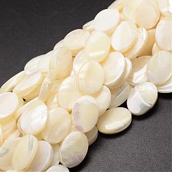 Natural Trochid Shell/Trochus Shell Beads Strands, Oval, Creamy White, 18x13x4~5mm, Hole: 1mm, about 22pcs/strand, 15.75 inch(SSHEL-K008-05)