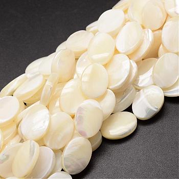 Natural Trochid Shell/Trochus Shell Beads Strands, Oval, Creamy White, 18x13x4~5mm, Hole: 1mm, about 22pcs/strand, 15.75 inch