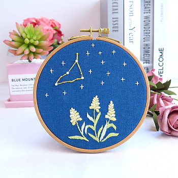 Flower & Constellation Pattern 3D Bead Embroidery Starter Kits, including Embroidery Fabric & Thread, Needle, Instruction Sheet, Capricorn, 200x200mm