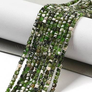 Natural Diopside Beads Strands(G-G161-C23-01)-2