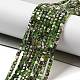 Natural Diopside Beads Strands(G-G161-C23-01)-2