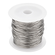 BENECREAT 1 Roll Tiger Tail Wire, 316 Surgical Stainless Steel, for Jewelry Making, Stainless Steel Color, 20 Gauge,0.8mm,about 26.24 Feet(8m)/roll(TWIR-BC0001-36D)