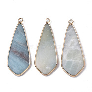 Natural Flower Amazonite Pendants, with Light Gold Plated Brass Edge and Loop, Teardrop, 49x18x4.5mm, Hole: 2.5mm(G-S359-108F)