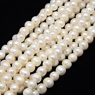 Natural Cultured Freshwater Pearl Beads Strands, Potato, Creamy White, 10~11mm, Hole: 0.8mm, about 40pcs/strand, 13.77 inch~14.17 inch(PEAR-L001-B-10)