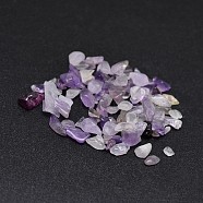 Natural Amethyst Chip Beads, No Hole/Undrilled, 2~8x2~4mm, about 340pcs/20g(X-G-O103-10)