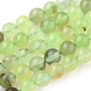 Natural Prehnite Beads Strands, Round, 8mm, Hole: 1mm, about 47~48pcs/strand, 15.7 inch(40cm)(G-I250-01D)
