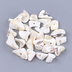 Sea Shell Beads, Chip, Seashell Color, 5~37x3~13x1~7mm, Hole: 1mm(SSHEL-T008-18)