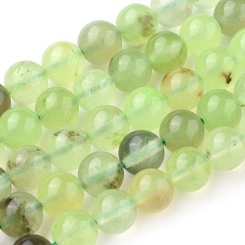 Natural Prehnite Beads Strands, Round, 8mm, Hole: 1mm, about 47~48pcs/strand, 15.7 inch(40cm)