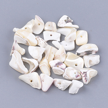 Sea Shell Beads, Chip, Seashell Color, 5~37x3~13x1~7mm, Hole: 1mm