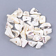 Sea Shell Beads(SSHEL-T008-18)-1