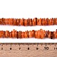 Natural Freshwater Shell Beads Strands(SHEL-N037-01B)-4