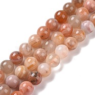 Natural Botswana Agate Beads Strands, Round, 8mm, Hole: 0.9mm, about 49pcs/strand, 15.83 inch(40.2cm)(G-G925-01B)