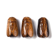 Natural Tiger Eye Carved Insect Pendants, Cicada Charms, 28x16x10mm, Hole: 0.8mm(G-I361-04A)