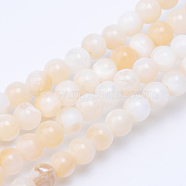 Natural Freshwater Shell Bead Strands, Round, Blanched Almond, 4.5mm, Hole: 1mm, about 86pcs/strand, 14.76 inch(X-SHEL-S253-01)