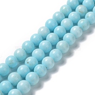 Natural Howlite Beads Strands, Dyed, Round, 10~10.5mm, Hole: 1.4mm, about 39pcs/strand, 15.43~15.55''(39.2~39.5cm)(G-E604-B02-C)