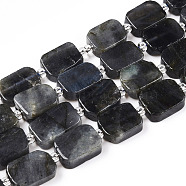 Natural Larvikite Beads Strands, with Seed Beads, Rectangle, 11~13x8~9x4~5mm, Hole: 0.9mm, seed beads: 3x3x2, hole: 0.8mm, about 28pcs/strand, 15.75''(40cm)(G-T138-04)