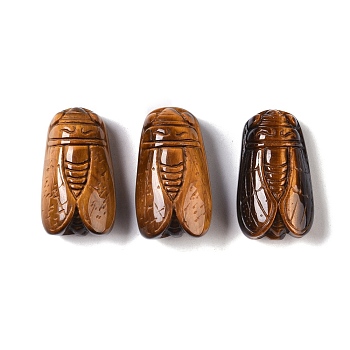 Natural Tiger Eye Carved Insect Pendants, Cicada Charms, 28x16x10mm, Hole: 0.8mm