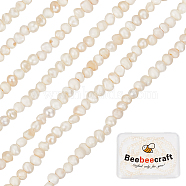 2 Strands Natural Cultured Freshwater Pearl Beads Strands, Potato, Seashell Color, 1.5~2x1.5~3x1.5~2mm, Hole: 0.5mm, about 142pcs/strand, 13.78 inch(35cm)(PEAR-BBC0001-18)
